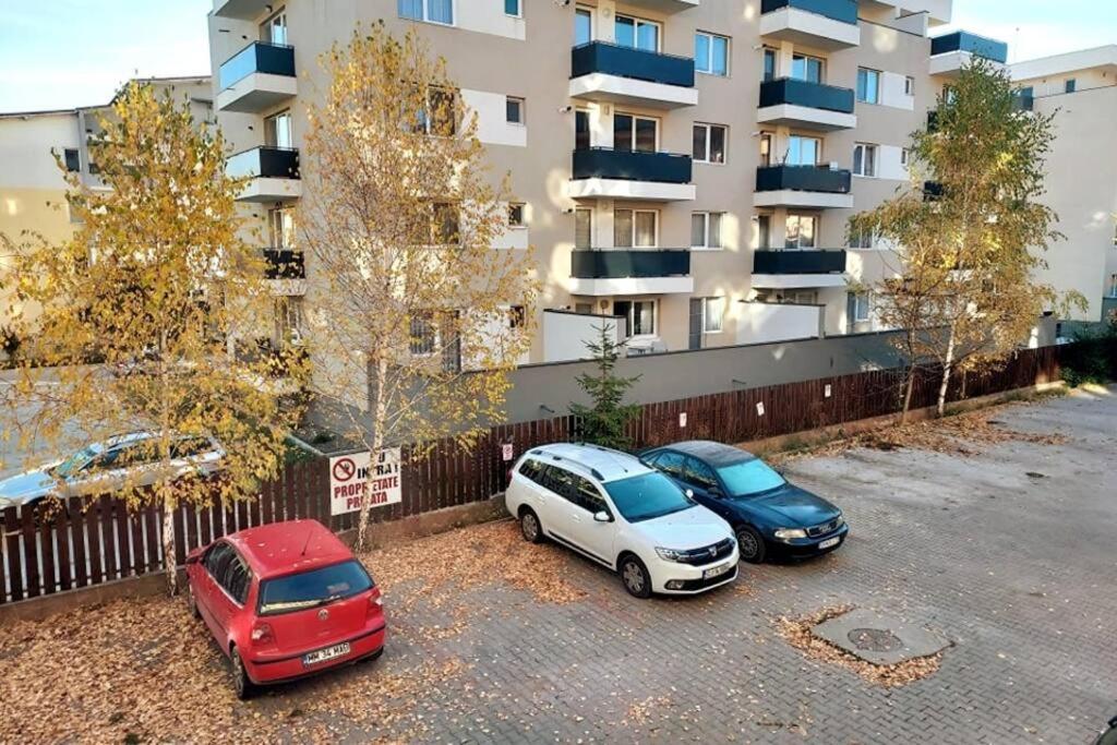 Spacious Flat, With Free Parking & Air Conditioning Floreşti Exteriör bild